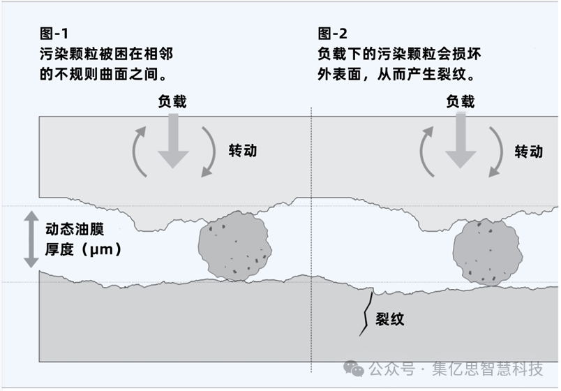 微信图片_20251017103008 微信图片_20251017103008